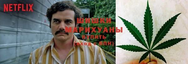 прущая мука Арсеньев