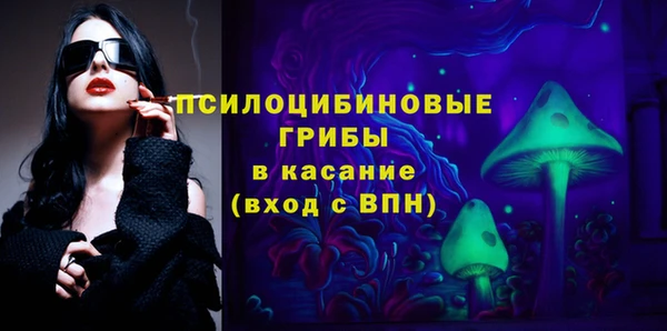 прущая мука Арсеньев